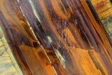 Polished Tiger's Iron Slab - South Africa #113007-1